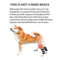 NeoAlly Dog Rear Leg Hock Brace with Safety Reflective Straps for Small Dogs [Short Version]