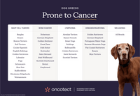 Oncotect Essential At-Home Dog Cancer Screening Test Kit