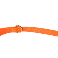 Barrows Dog Leash - Orange