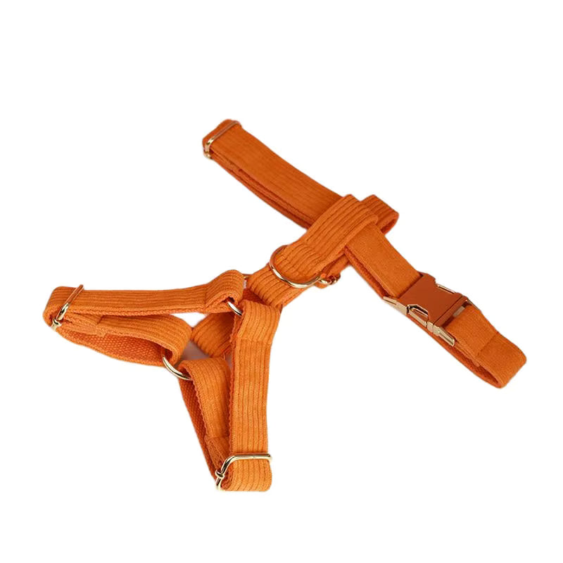 Personalized Orange Corduroy Classic Set