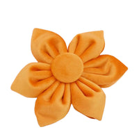 Personalized Orange Velvet Classic Set