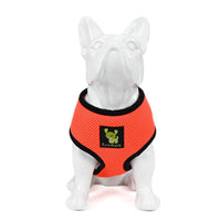 EcoBark Over-the-Head Dog Harnesses - 18 Colors & Patterns - BIG FRENCHIES