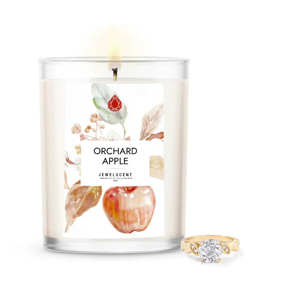 Orchard Apple 18oz Home Jewelry Candle - BIG FRENCHIES