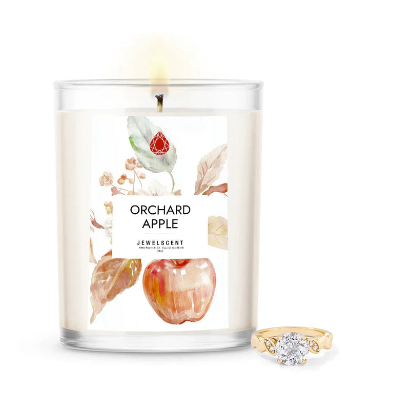 Orchard Apple 18oz Home Jewelry Candle - BIG FRENCHIES