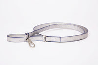 Dog Leash-Small, Metallic Ostrich