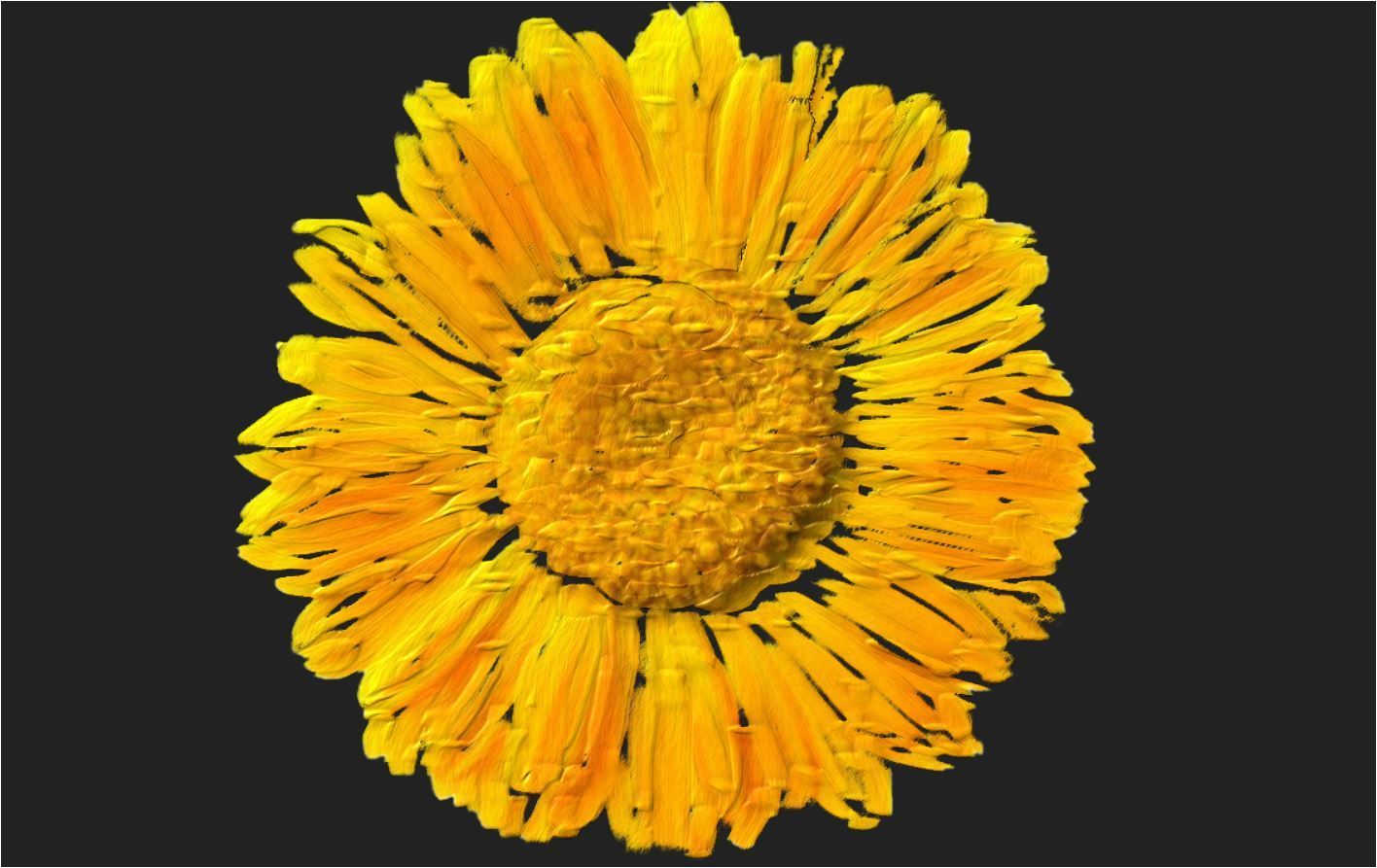 Certified Organic Rejuvenating Night cream calendula Hydrate Anti-aging Repair |Calendula flower - BIG FRENCHIES
