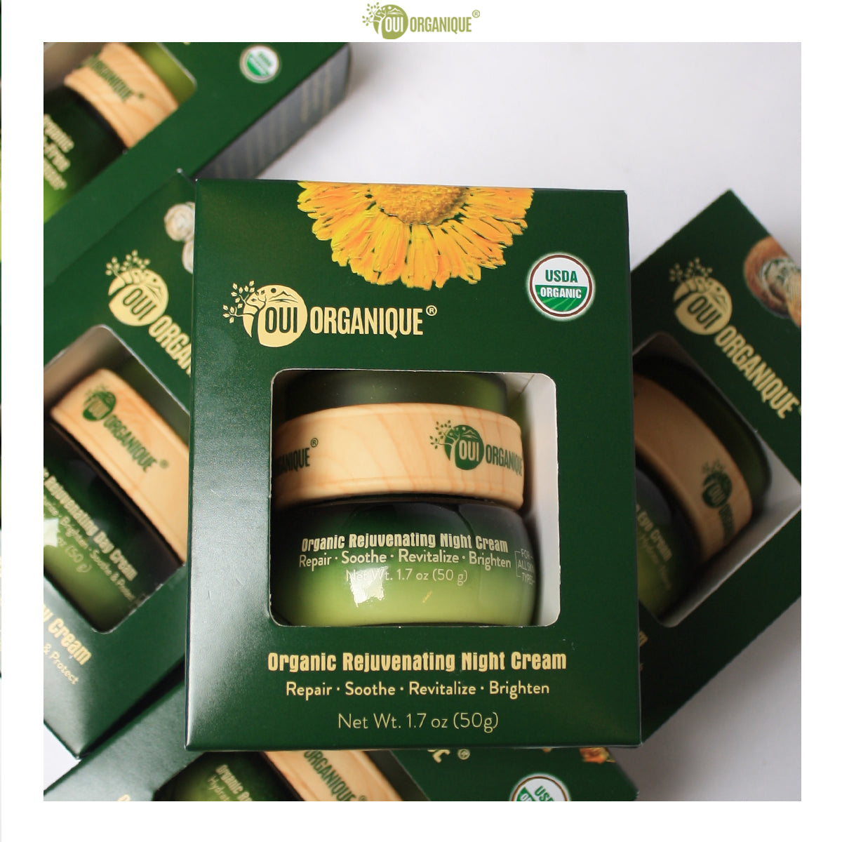 Certified Organic Rejuvenating Night cream calendula Hydrate Anti-aging Repair |Calendula flower - BIG FRENCHIES