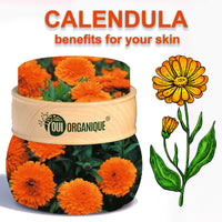 Certified Organic Rejuvenating Night cream calendula Hydrate Anti-aging Repair |Calendula flower - BIG FRENCHIES
