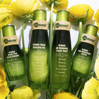 Organic Anti-Aging Sunscreen Skincare Set - Natural Moisturizer - BIG FRENCHIES