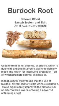 Certified Organic Rejuvenating Day Cream burdock Root|Detoxify |Brighten| - BIG FRENCHIES
