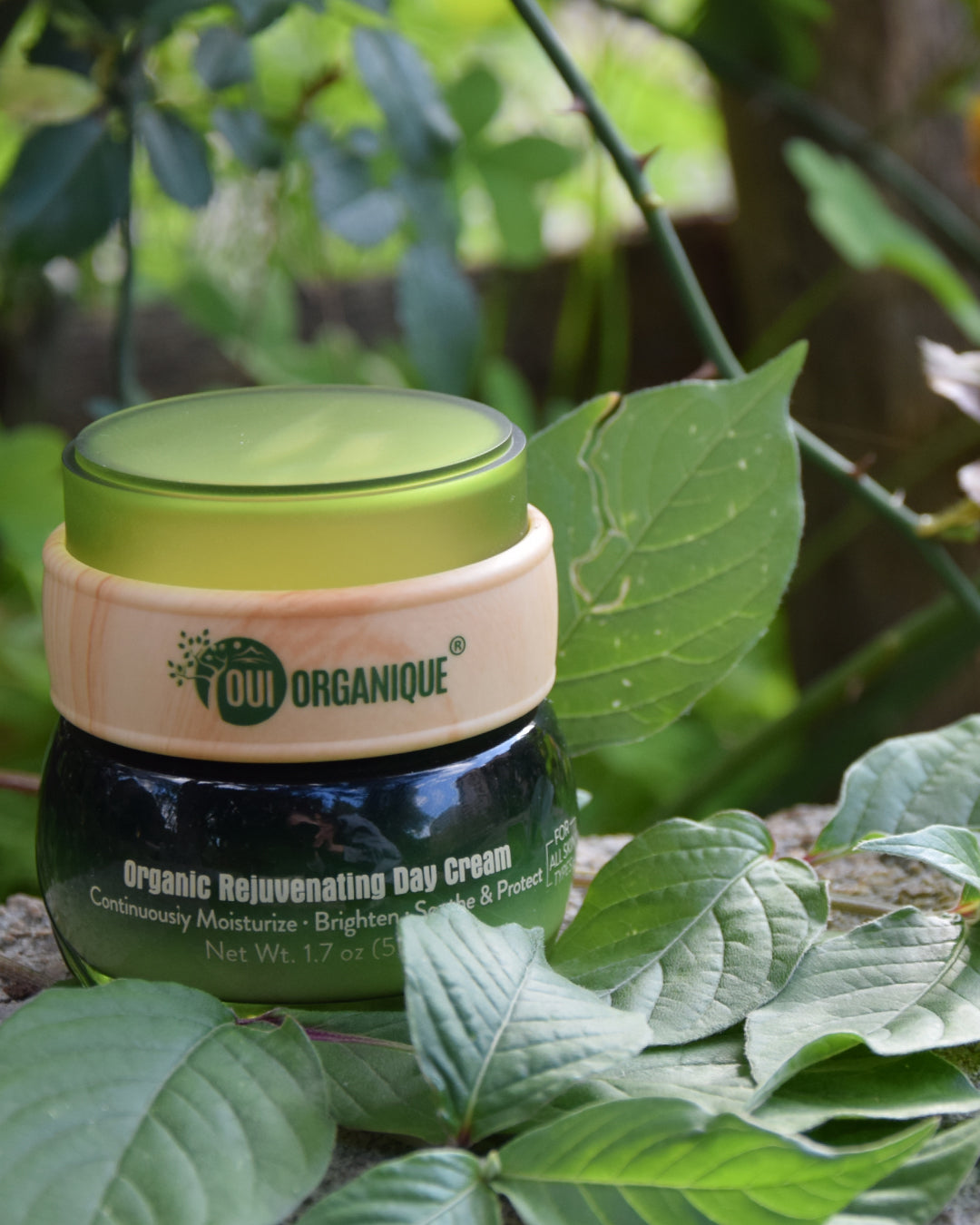 Certified Organic Rejuvenating Day Cream burdock Root|Detoxify |Brighten| - BIG FRENCHIES