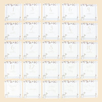 Infant Milestone + Memory Cards (0-12 months)