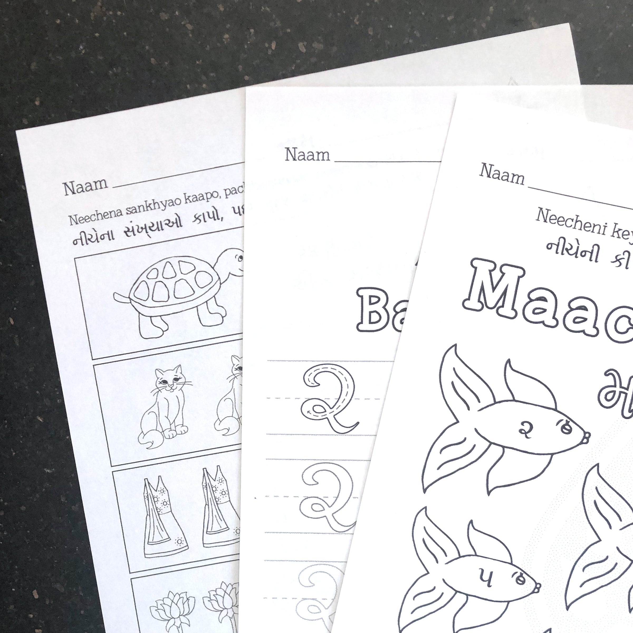 Printable Gujarati Activity Book