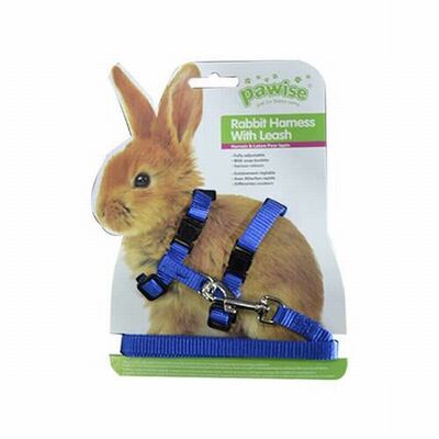 Pawise Rabbit Harness and Leash Set Blue for Safe Travel