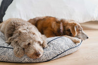 Round Pet Bed in Sapphire Spaniel - BIG FRENCHIES