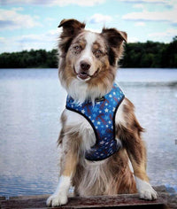 EcoBark Nautical Dog Harness - Over-the-Head Soft Mesh Vest Halter for Small to Medium Dogs - BIG FRENCHIES