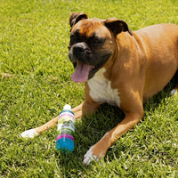 Jeffers Natural Flea & Tick Pennyroyal Dog Shampoo - Aids in Repelling Fleas, Ticks, Flies & Mosquitos