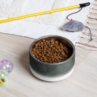 Sebastian & Clementine Vintage Collection Pet Bowl