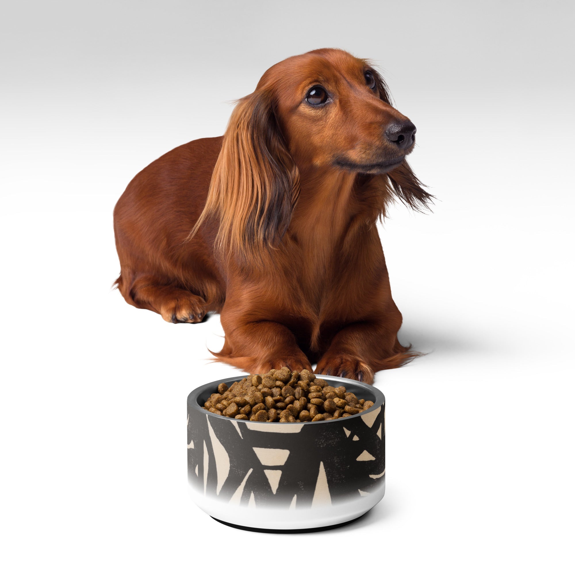 Sebastian & Clementine Composition XXII Vintage Collection Pet Bowl