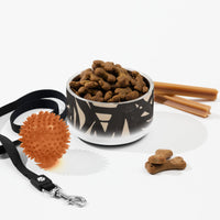 Sebastian & Clementine Composition XXII Vintage Collection Pet Bowl