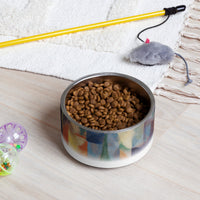 Sebastian & Clementine Window Overlooking The City Vintage Collection Pet Bowl