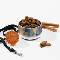 Sebastian & Clementine Window Overlooking The City Vintage Collection Pet Bowl