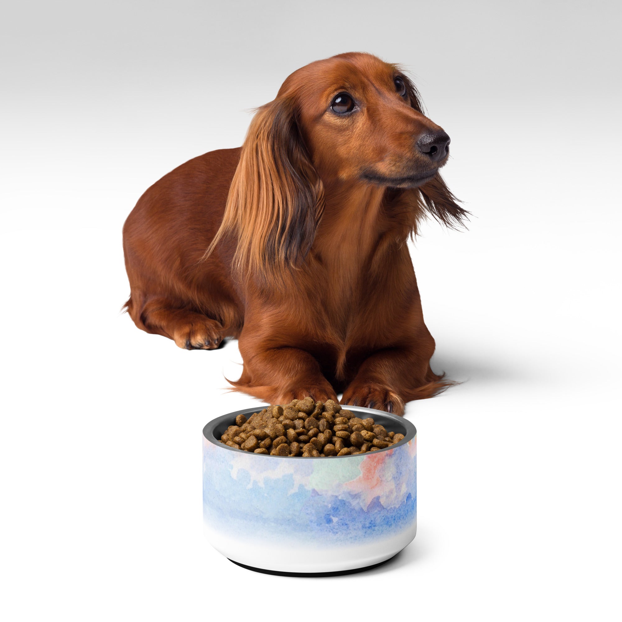 Sebastian & Clementine Venice Vintage Collection Pet Bowl