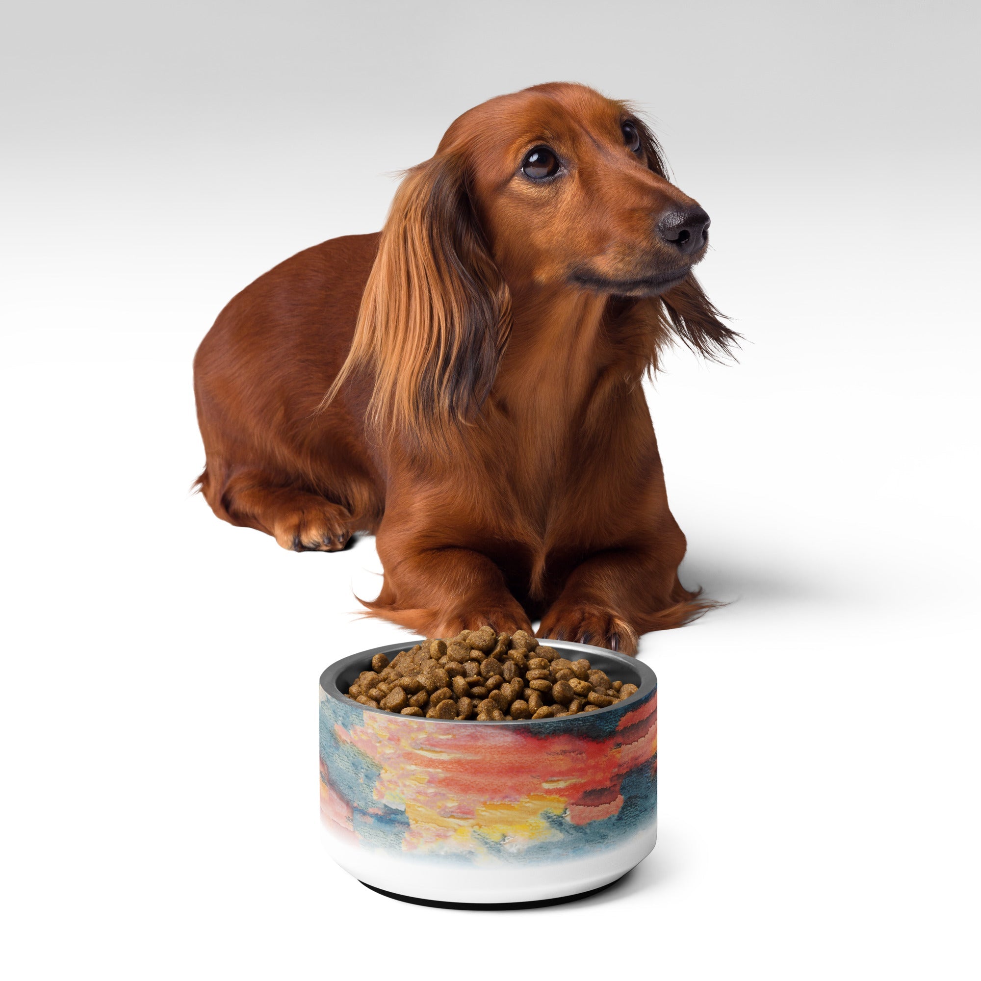 Sebastian & Clementine Sunset, Acapulco Vintage Collection Pet Bowl