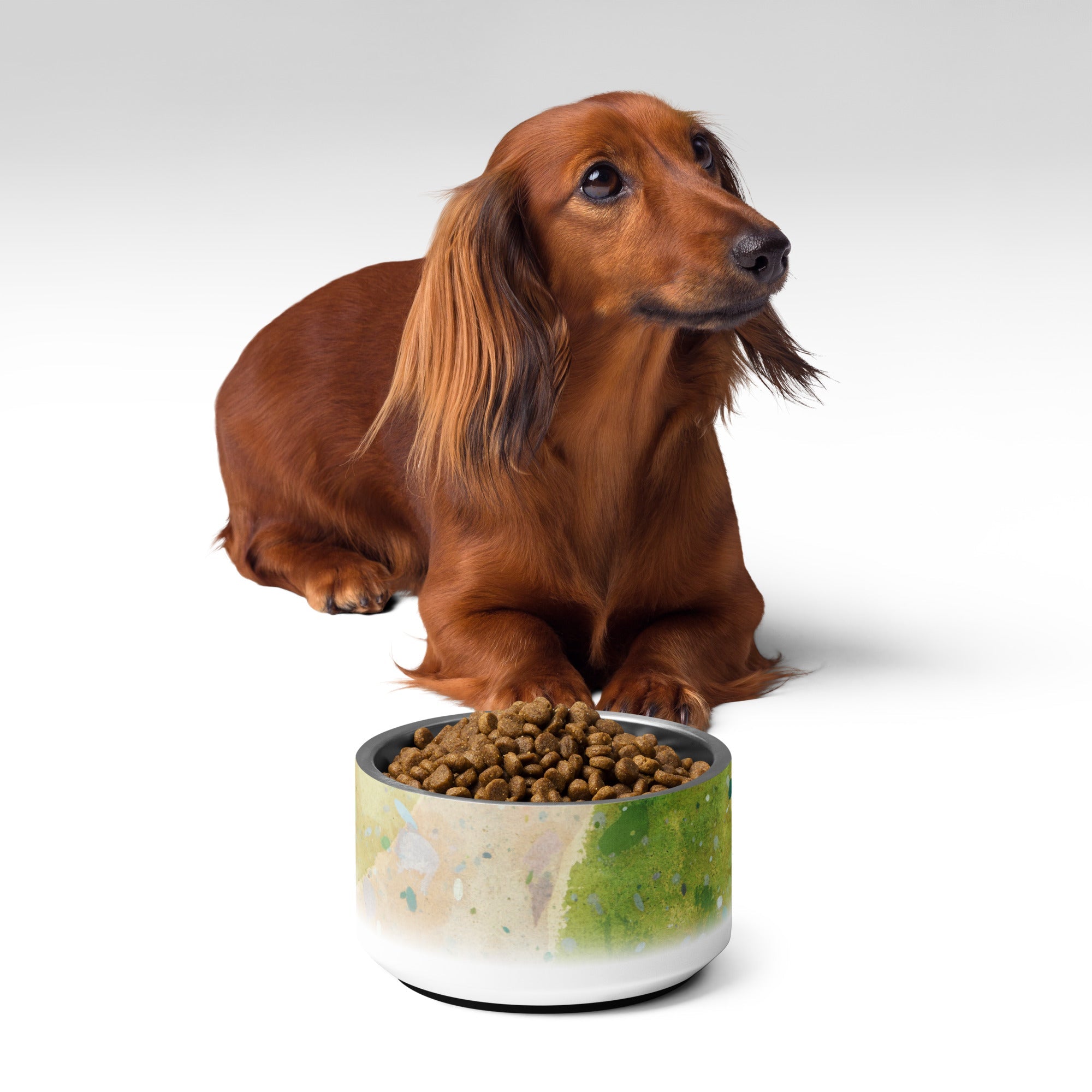 Sebastian & Clementine Road Through The Forest Vintage Collection Pet Bowl