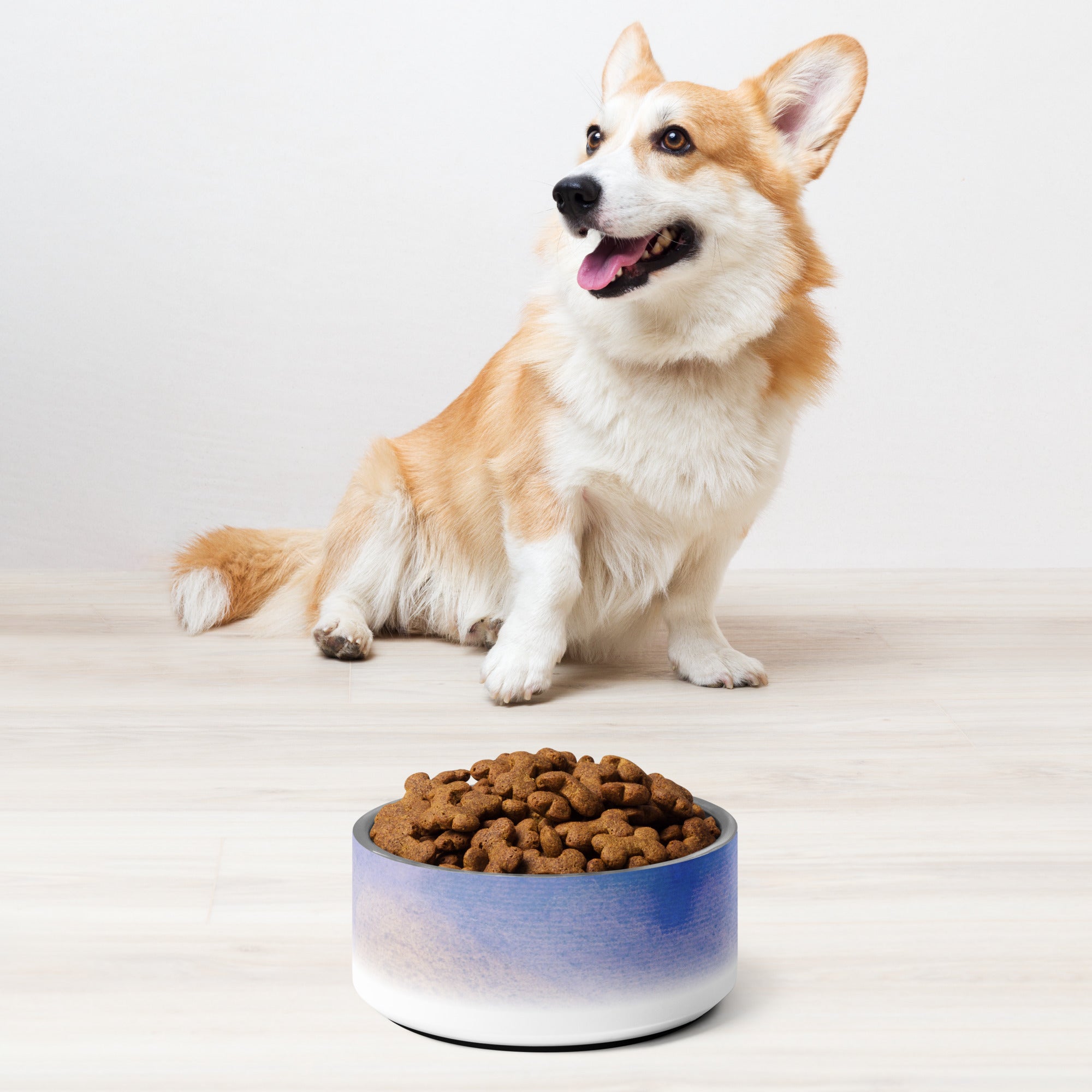 Sebastian & Clementine Vintage Collection Pet Bowl