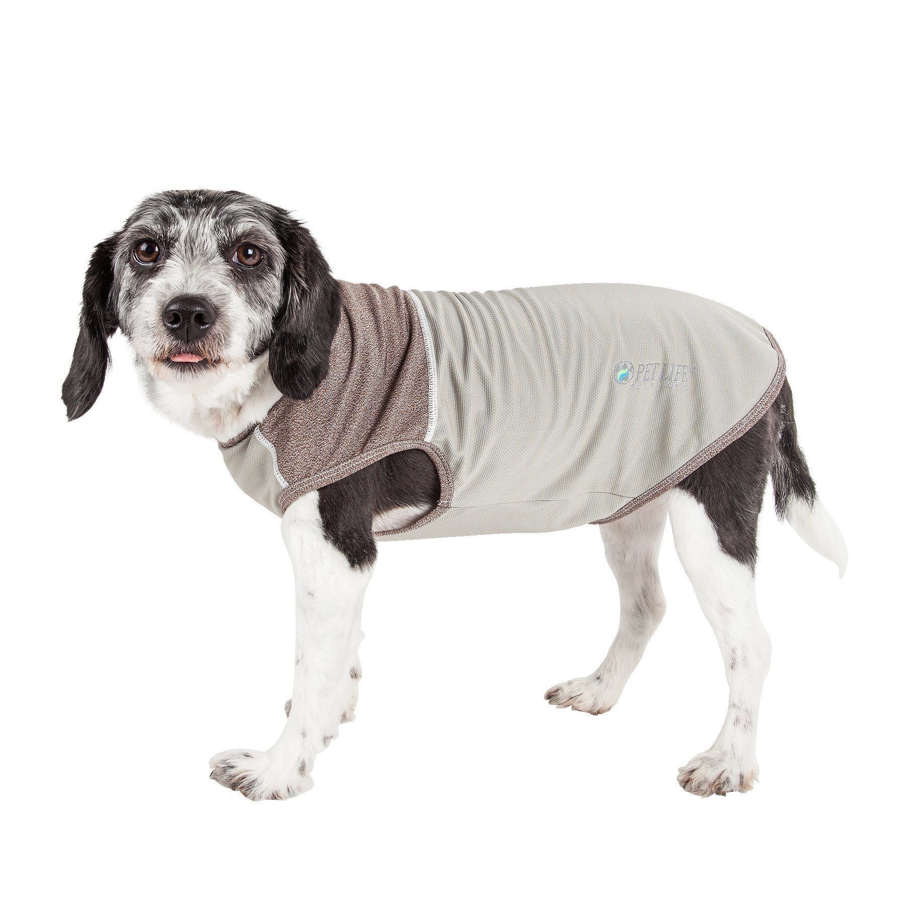 Pet Life ® Active 'Aero-Pawlse' Quick-Dry and 4-Way-Stretch Yoga Fitness Dog T-Shirt Tank Top - BIG FRENCHIES