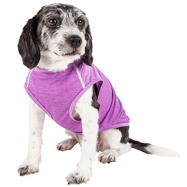 Pet Life ® Active 'Aero-Pawlse' Quick-Dry and 4-Way-Stretch Yoga Fitness Dog T-Shirt Tank Top - BIG FRENCHIES