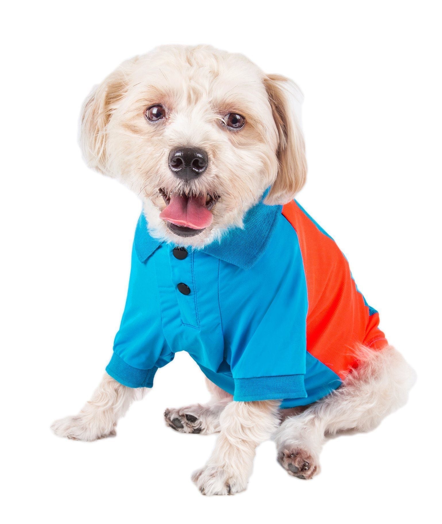 Pet Life ® Active 'Barko Pawlo' Relax-Stretch Quick-Drying Performance Dog Polo T-Shirt - BIG FRENCHIES
