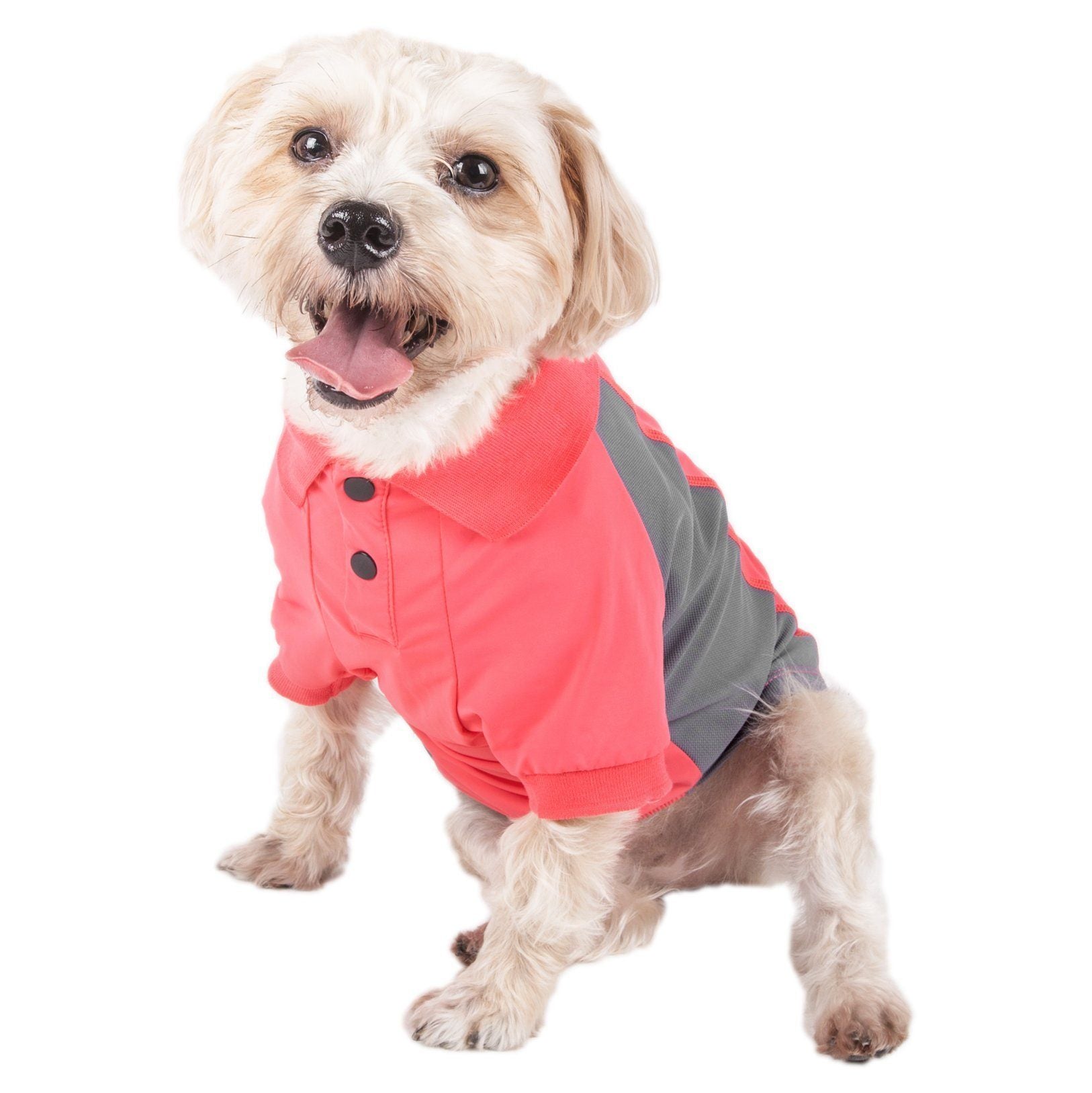 Pet Life ® Active 'Barko Pawlo' Relax-Stretch Quick-Drying Performance Dog Polo T-Shirt - BIG FRENCHIES
