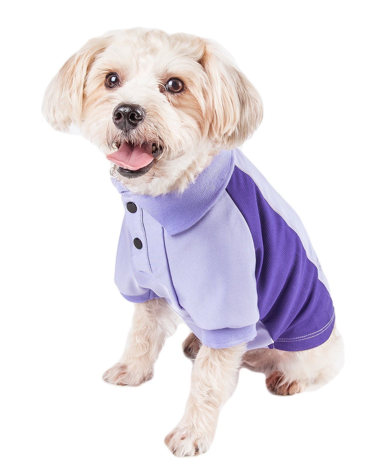 Pet Life ® Active 'Barko Pawlo' Relax-Stretch Quick-Drying Performance Dog Polo T-Shirt - BIG FRENCHIES