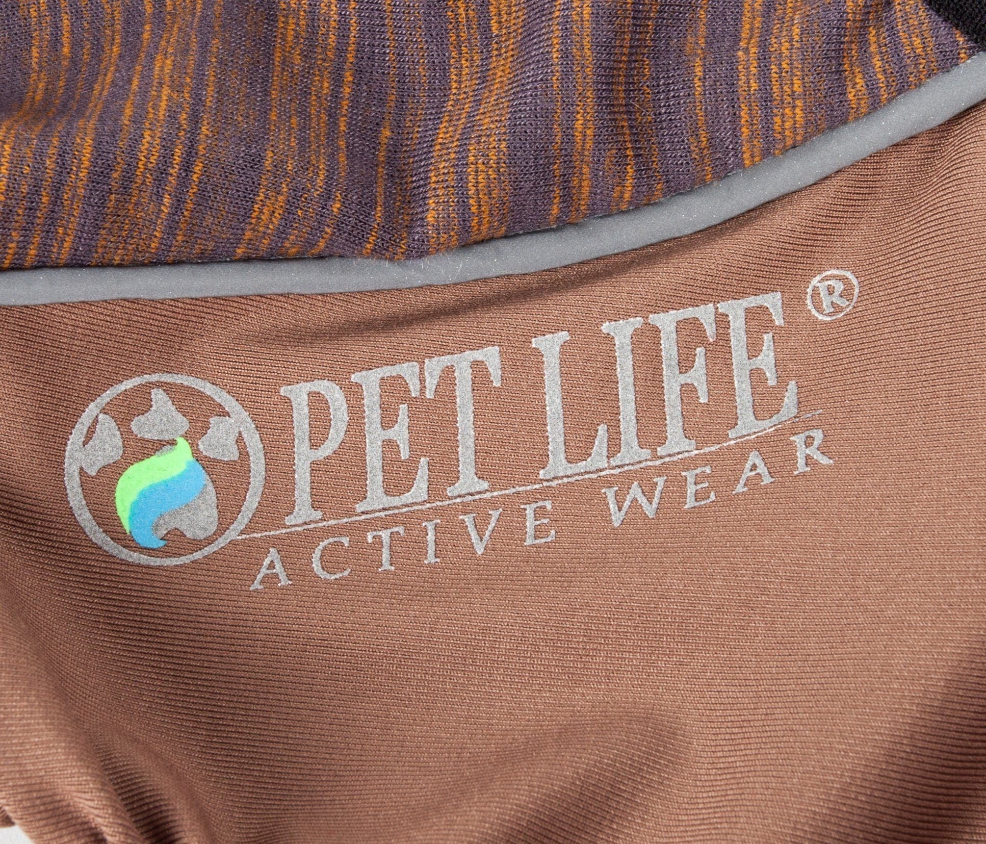 Pet Life ® Active 'Chase Pacer' Medium-weight 4-Way-Stretch Yoga Fitness Dog Tracksuit - BIG FRENCHIES