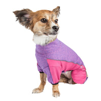 Pet Life ® Active 'Chase Pacer' Medium-weight 4-Way-Stretch Yoga Fitness Dog Tracksuit - BIG FRENCHIES