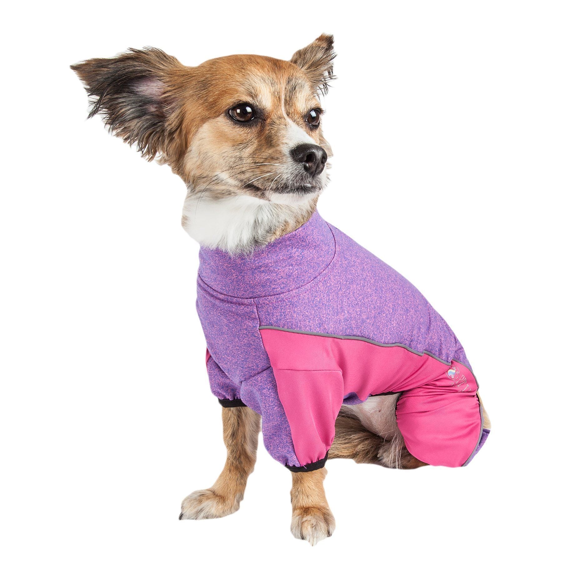 Pet Life ® Active 'Chase Pacer' Medium-weight 4-Way-Stretch Yoga Fitness Dog Tracksuit - BIG FRENCHIES