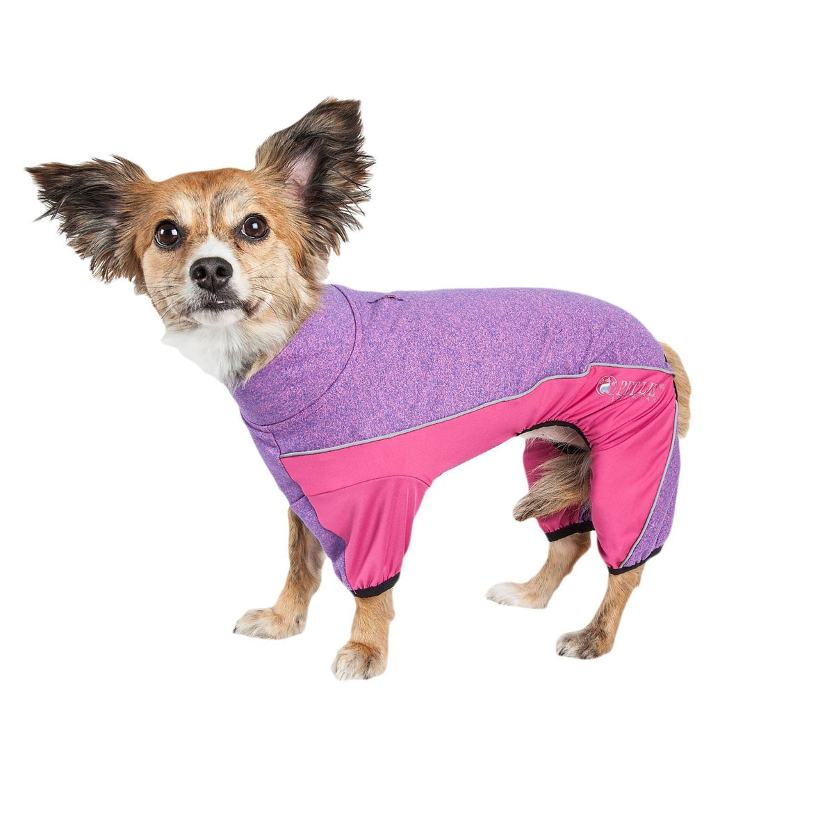 Pet Life ® Active 'Chase Pacer' Medium-weight 4-Way-Stretch Yoga Fitness Dog Tracksuit - BIG FRENCHIES
