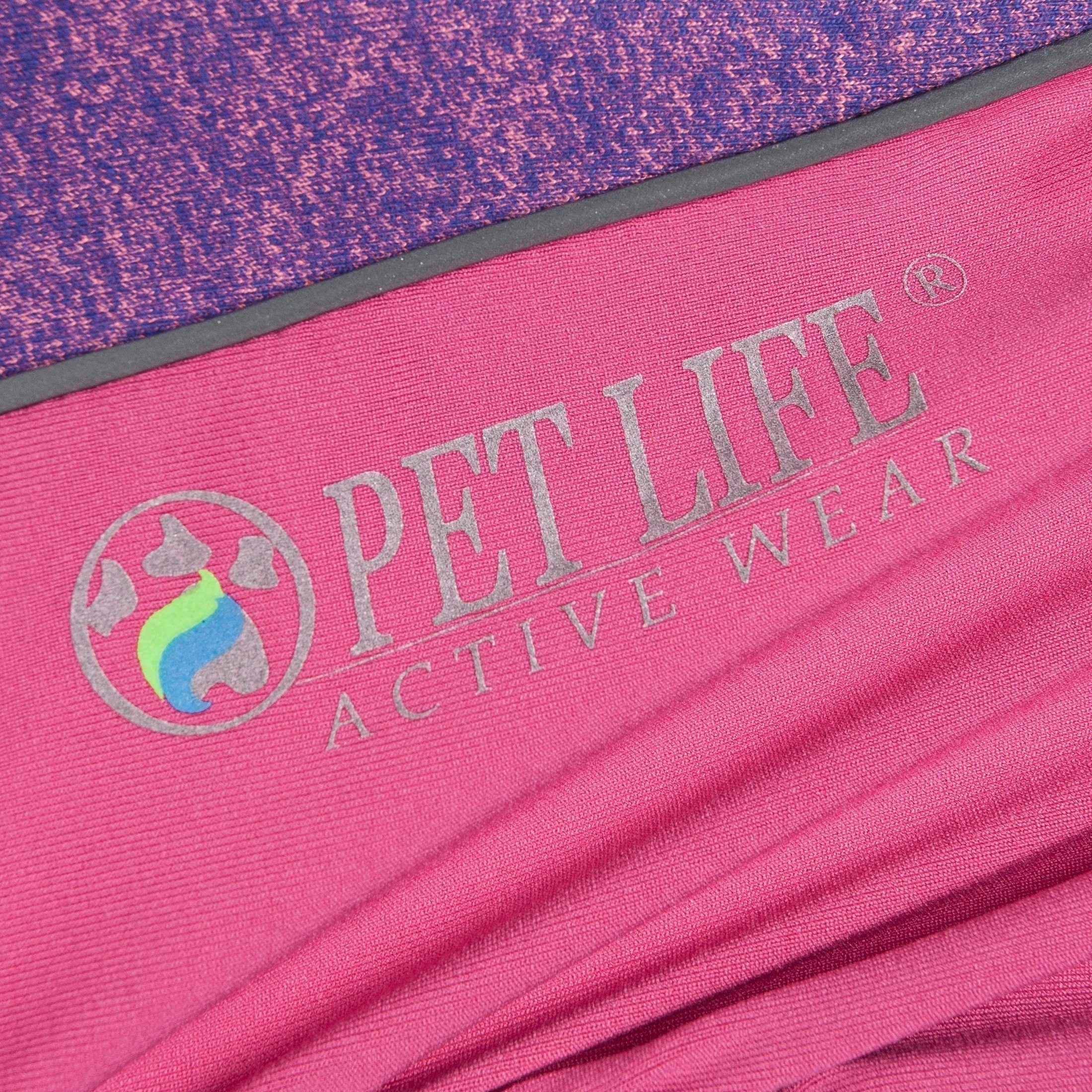 Pet Life ® Active 'Chase Pacer' Medium-weight 4-Way-Stretch Yoga Fitness Dog Tracksuit - BIG FRENCHIES