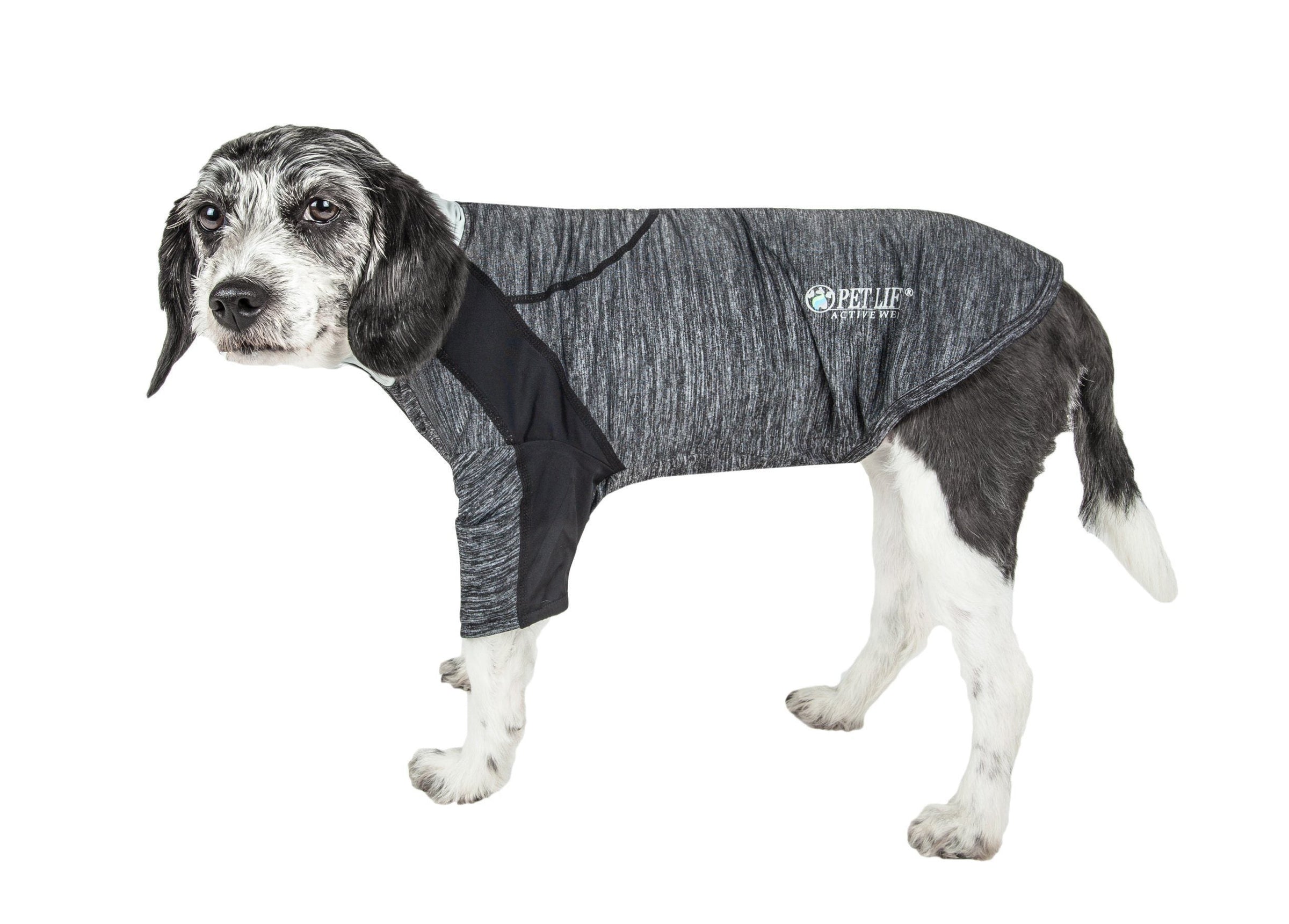 Pet Life ® Active 'Chewitt Wagassy' 4-Way-Stretch Yoga Fitness Long-Sleeve Dog T-Shirt - BIG FRENCHIES