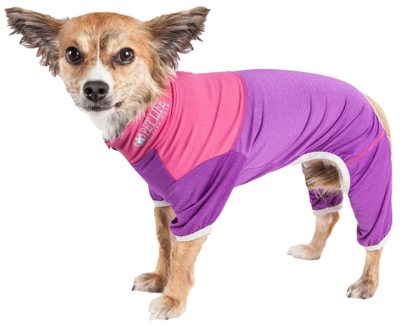 Pet Life ® Active 'Embarker' 4-Way Stretch Fitness Yoga Full Body Dog Tracksuit - BIG FRENCHIES