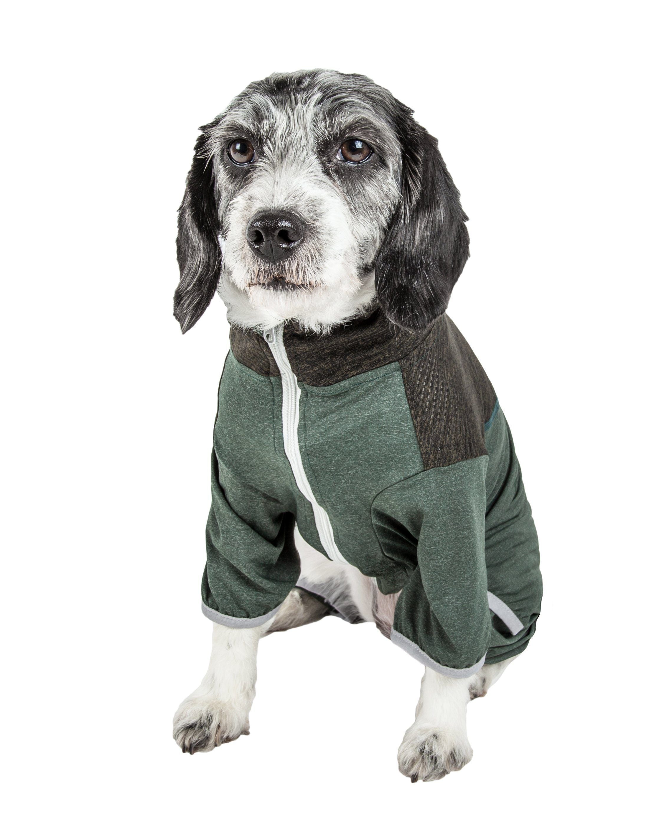 Pet Life ® Active 'Embarker' 4-Way Stretch Fitness Yoga Full Body Dog Tracksuit - BIG FRENCHIES
