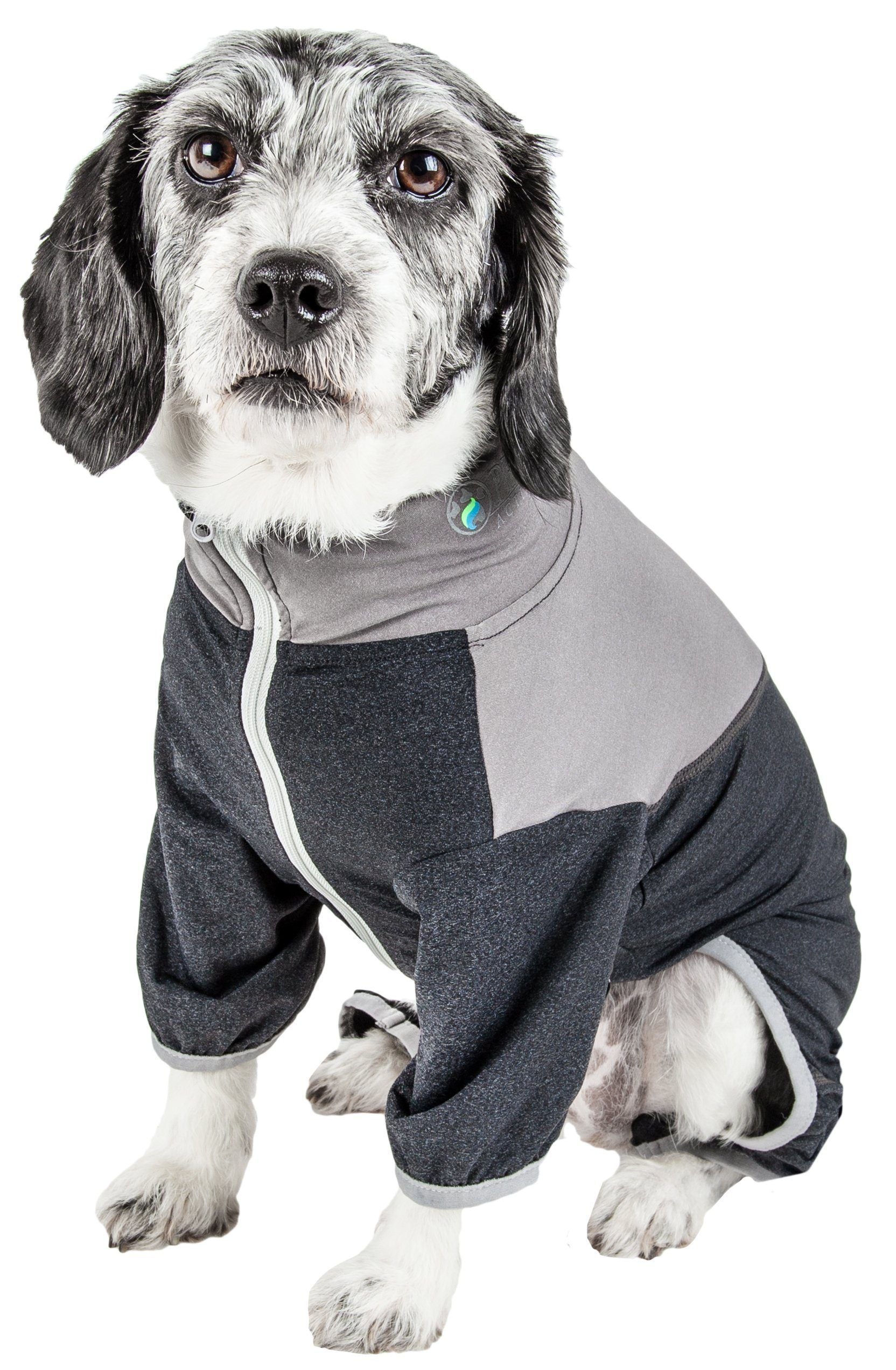 Pet Life ® Active 'Embarker' 4-Way Stretch Fitness Yoga Full Body Dog Tracksuit - BIG FRENCHIES
