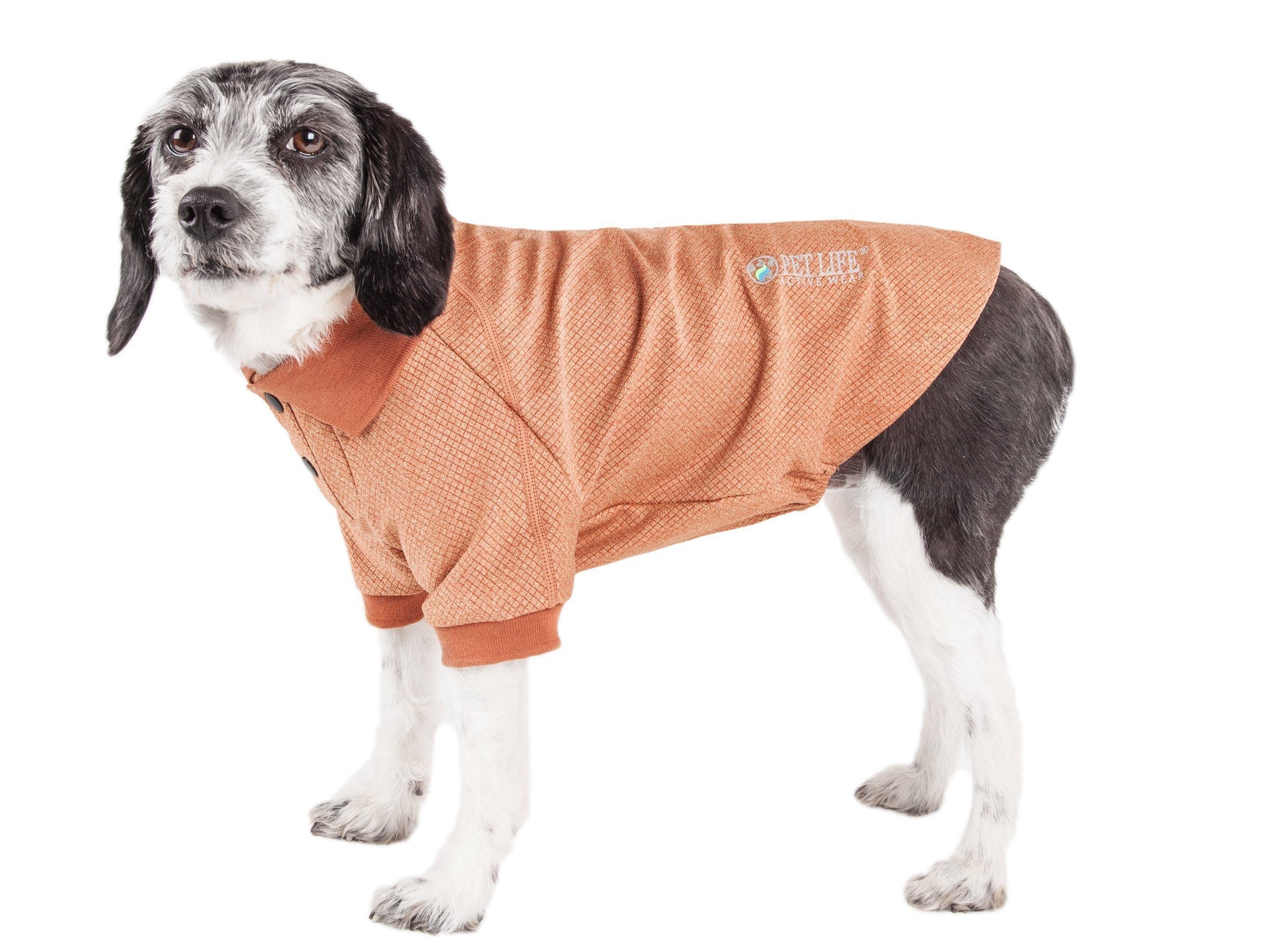 Pet Life ® Active 'Fur-Flex' Stretch and Quick-Dry Anti-Odor Fitness Yoga Dog Polo T-Shirt - BIG FRENCHIES