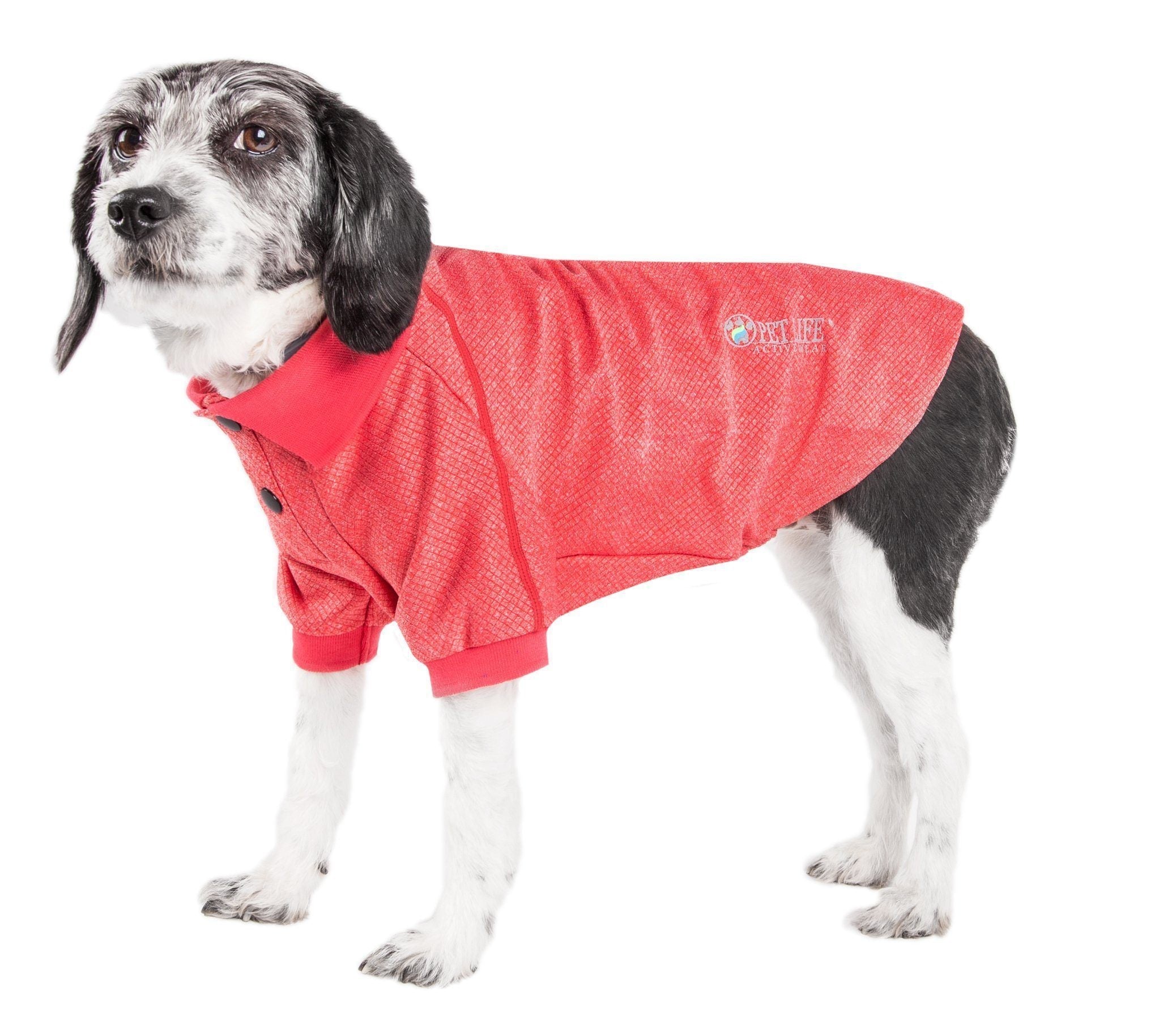 Pet Life ® Active 'Fur-Flex' Stretch and Quick-Dry Anti-Odor Fitness Yoga Dog Polo T-Shirt - BIG FRENCHIES