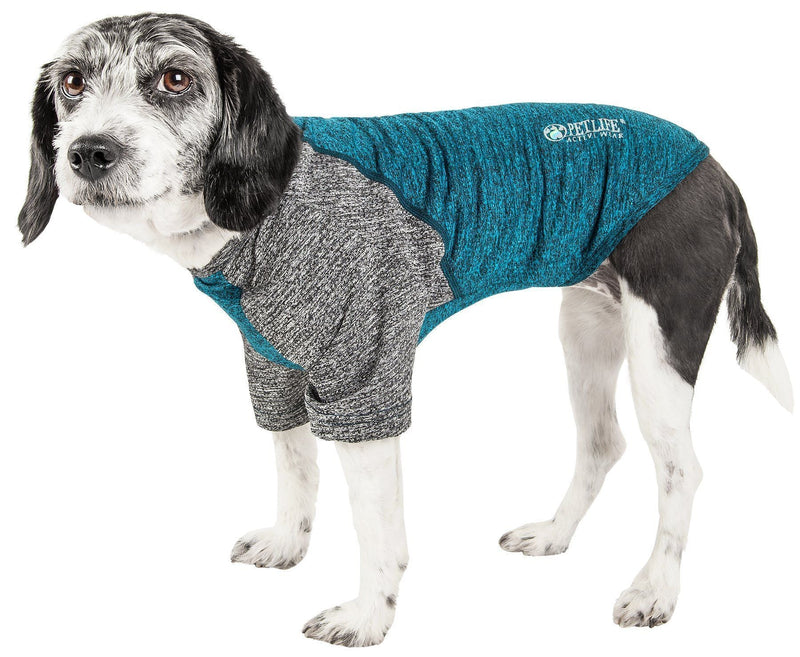 Pet Life ® Active 'Hybreed' 4-Way-Stretch Fitness Performance Dog T-Shirt - BIG FRENCHIES