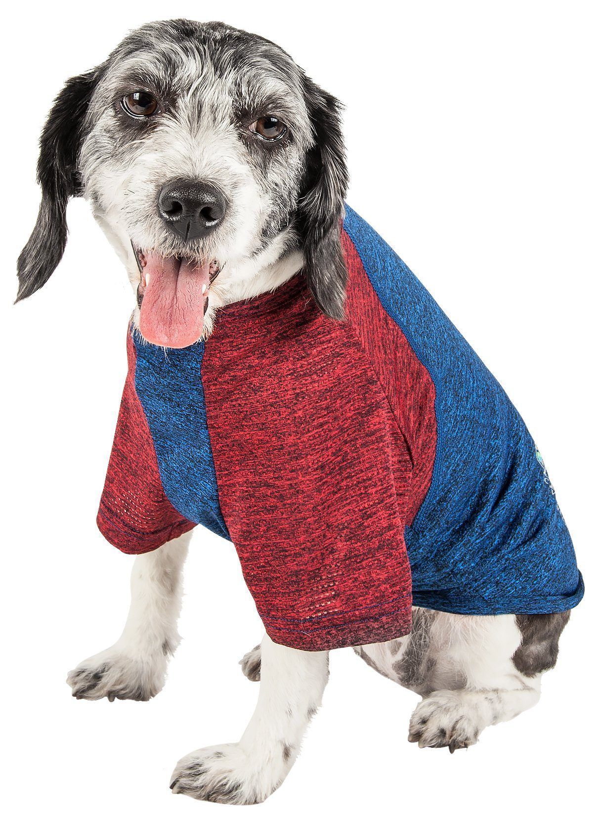 Pet Life ® Active 'Hybreed' 4-Way-Stretch Fitness Performance Dog T-Shirt - BIG FRENCHIES