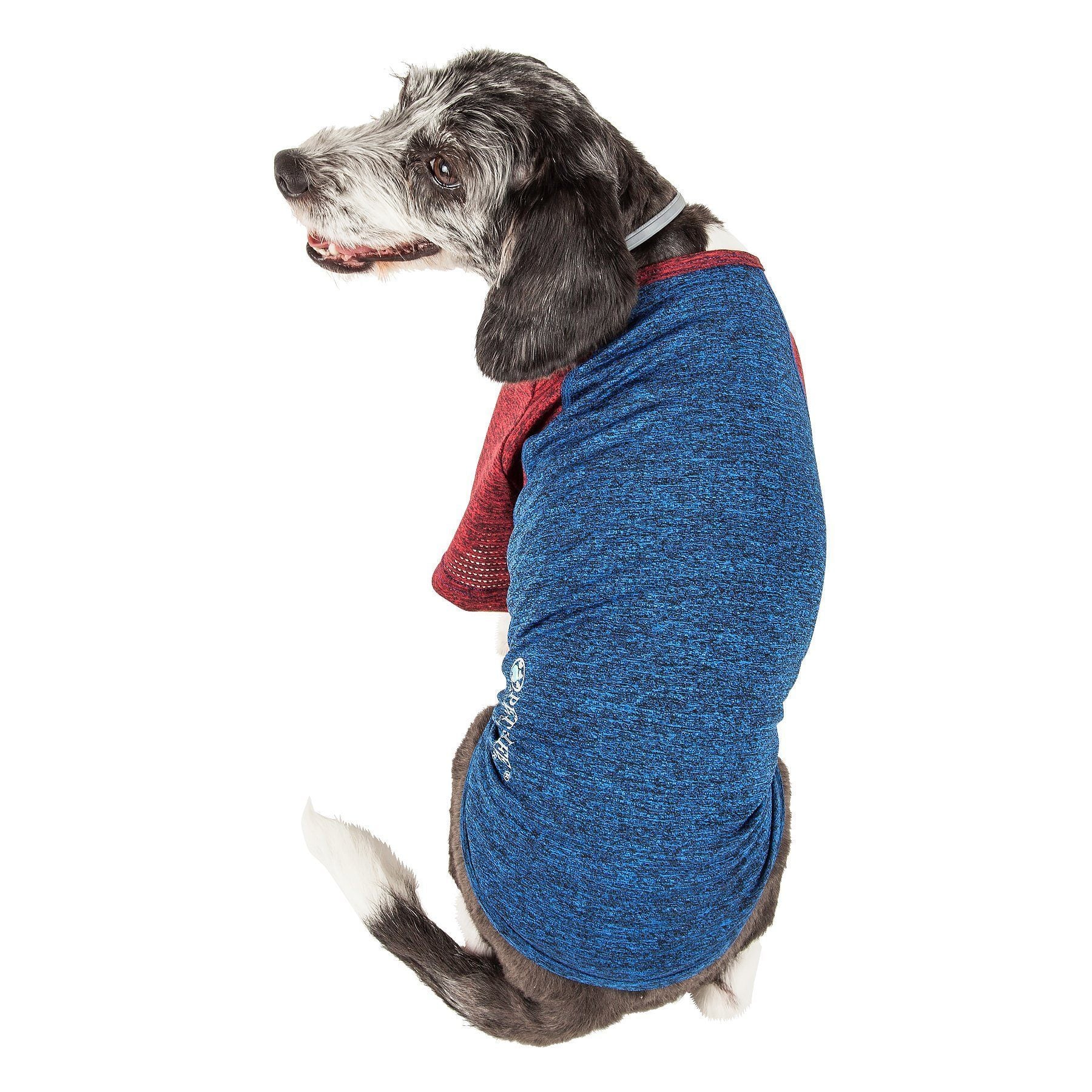 Pet Life ® Active 'Hybreed' 4-Way-Stretch Fitness Performance Dog T-Shirt - BIG FRENCHIES