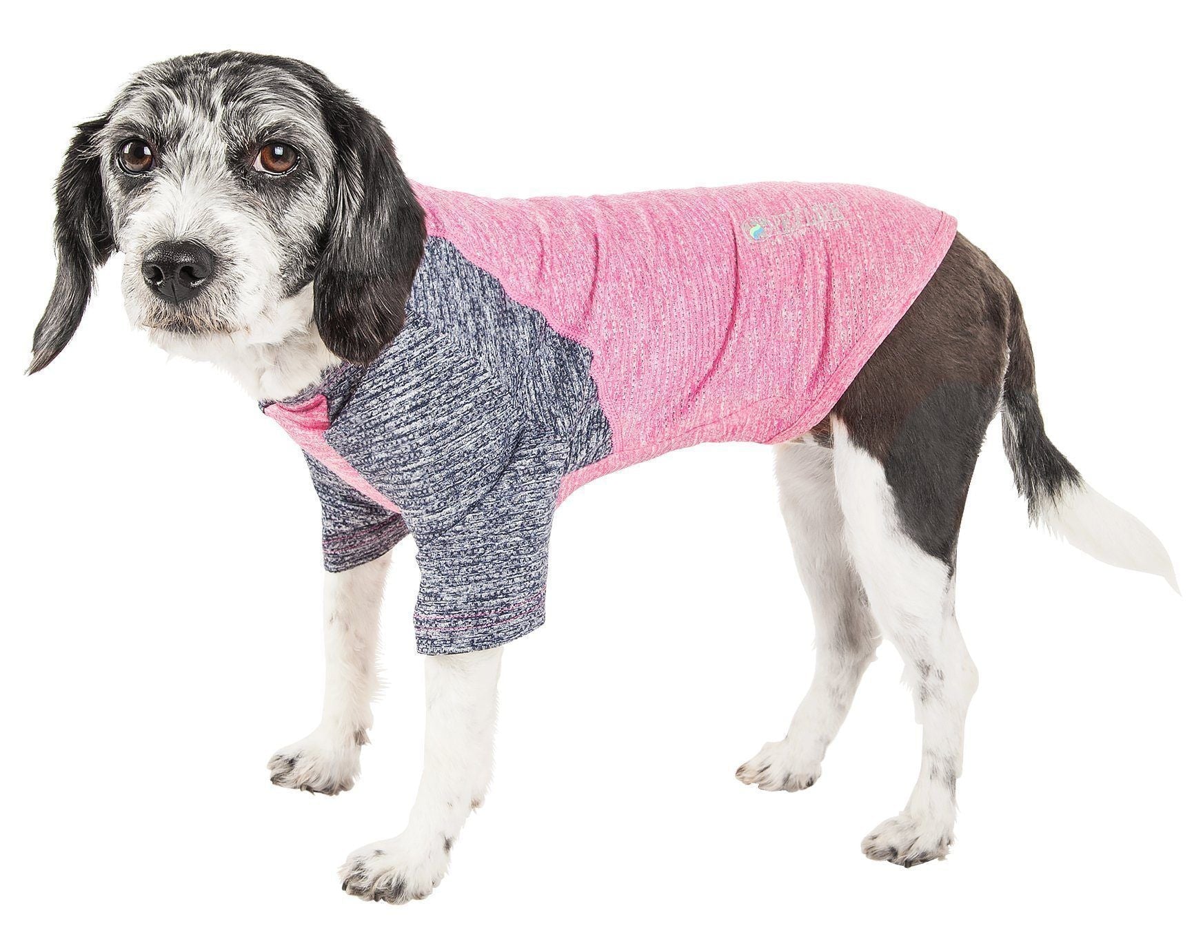 Pet Life ® Active 'Hybreed' 4-Way-Stretch Fitness Performance Dog T-Shirt - BIG FRENCHIES